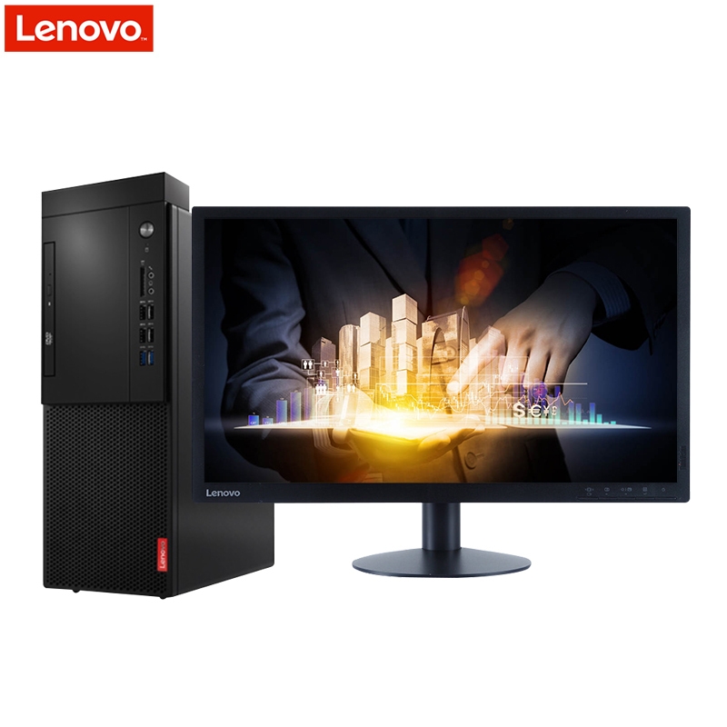 联想(Lenovo) M420-D178 台式计算机 i5-9500/4G/1T+128G SSD/集成显卡/21.5英寸